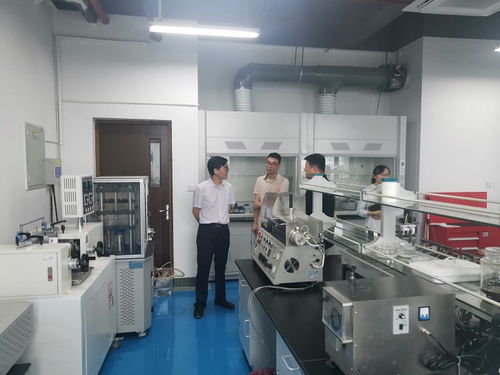 筑牢安全防线 夯实科研根基——材料科学与工程学院扎实开展期末实验室安全检查与自查自纠工作