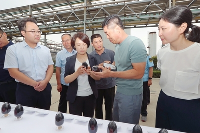 碳基新材料产业链调研纪实 惠企直通车助推市场主体提质升级