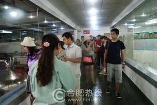 寻源千岛湖 一场水与科技的纯净见证